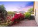 Backyard featuring desert landscaping, flowering plants, a fence and views of the mountains at 10623 E Acacia Dr, Scottsdale, AZ 85255