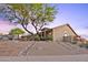 Beautiful single-story home with desert landscaping, stone accents and mature tree at 10623 E Acacia Dr, Scottsdale, AZ 85255