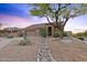 The exterior showcases desert landscaping with a charming stone-lined creek leading to the front of the home at 10623 E Acacia Dr, Scottsdale, AZ 85255