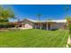 Lush backyard with well-maintained grass and mature trees at 1115 E Carter Dr, Tempe, AZ 85282