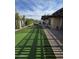 Expansive backyard with lush green grass, a covered patio, and a serene outdoor seating area at 1954 E Nielson Ave, Mesa, AZ 85204