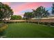 Spacious backyard featuring well-maintained artificial grass, mature trees, and privacy landscaping at 19917 E Natalie Way, Queen Creek, AZ 85142