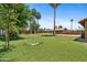 A spacious backyard with green grass, palm trees, and a glimpse of the house in the background at 20 W Pasadena Ave, Phoenix, AZ 85013