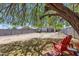 Spacious backyard featuring a mature shade tree and red Adirondack chairs at 2028 W Alice Ave, Phoenix, AZ 85021