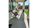 Cozy covered patio with comfortable seating and stylish decor, ideal for enjoying the outdoors at 22876 E Via Del Sol --, Queen Creek, AZ 85142