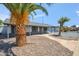 Charming single-story home featuring tidy yard, a stone walkway, mature palm tree, and a inviting porch swing at 2708 E Villa Theresa Dr, Phoenix, AZ 85032