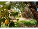 Serene backyard featuring lush greenery, mature trees, and a charming brick pathway at 356 W Roma Ave, Phoenix, AZ 85013