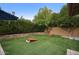 Green backyard with a charming lawn, mature trees and landscaping, perfect for outdoor activities and relaxation at 5672 E Beverly Ln, Scottsdale, AZ 85254