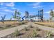 Modern playground with slides and climbing structures, set in a landscaped community area at 10004 S Smythe Dr, Apache Junction, AZ 85120