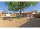 Spacious backyard with a mature shade tree, artificial turf, and block fence at 1002 W Villa Rita Dr, Phoenix, AZ 85023