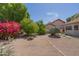Spacious backyard with mature trees and vibrant bougainvillea, perfect for outdoor activities at 1226 E Greenway Cir, Mesa, AZ 85203