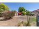 Lush landscaped backyard with desert plants and trees, providing a private outdoor sanctuary at 1226 E Greenway Cir, Mesa, AZ 85203