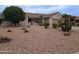 Well-manicured front yard featuring desert landscaping with various palm trees, bushes, and cacti for an inviting look at 16313 W Escondido Ct, Surprise, AZ 85374