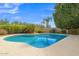 A private pool surrounded by mature landscaping offers a relaxing outdoor oasis at 1951 W Bartlett Ct, Chandler, AZ 85248