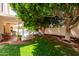 Spacious backyard featuring a covered patio, lush green grass, mature trees, and a refreshing pool at 2026 E Cortez Dr, Gilbert, AZ 85234