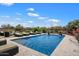 Inviting backyard pool with lounge chairs to bask in the sun and desert landscaping for a peaceful escape at 22925 N 46Th St, Phoenix, AZ 85050