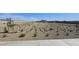 Planned common area landscaped with gravel and young trees, enhancing the community's appeal at 2382 E Homesteader Rd, San Tan Valley, AZ 85140