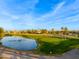 Aerial view of the golf course and pond at 2579 E Camellia Dr, Gilbert, AZ 85296