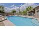 Backyard pool surrounded by a white fence at 2579 E Camellia Dr, Gilbert, AZ 85296