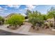 Charming single-story home with a well-maintained yard, mature trees, and a long driveway leading to a two-car garage at 2610 E Leiber Ln, Phoenix, AZ 85024