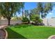 Lush backyard featuring well-maintained lawn, mature trees, and privacy wall at 420 S Dodge Dr, Chandler, AZ 85225
