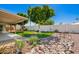 Beautiful backyard featuring rock garden, lush greenery, and a well-manicured lawn at 810 W Villa Maria Dr, Phoenix, AZ 85023