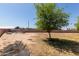 Expansive backyard with a lone tree and block wall surrounding the perimeter at 829 S 111Th Dr, Avondale, AZ 85323