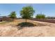 Large backyard with mature trees, block wall and plenty of space for outdoor activities at 829 S 111Th Dr, Avondale, AZ 85323