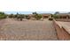 Backyard featuring desert landscaping and mature trees at 17009 W Eureka Springs Dr, Surprise, AZ 85387