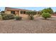 Backyard featuring desert landscaping and manicured shrubs at 17009 W Eureka Springs Dr, Surprise, AZ 85387