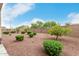 Landscaped backyard with green bushes, rock ground cover, and a tall block wall for privacy at 18247 N 168Th Cir, Surprise, AZ 85374