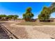 Expansive backyard showing gravel and grass areas, mature trees, and a basketball court, great for outdoor enjoyment at 19903 S 187Th Dr, Queen Creek, AZ 85142