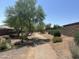 Neighborhood walking path surrounded by lush desert landscaping and neighborhood views at 2543 W Rabjohn Rd, Phoenix, AZ 85085