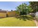 Grassy backyard featuring a shed, mature trees, and providing ample space for outdoor activities at 3554 W Aire Libre Ave, Phoenix, AZ 85053