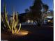 Home exterior with desert landscaping, including large cactus and a mature, illuminated mesquite tree at night at 3951 E Sequoia Trl, Phoenix, AZ 85044