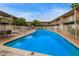 Resort-style community pool and sundeck with lounge chairs and well-maintained landscaping at 6565 N 19Th Ave # 45, Phoenix, AZ 85015