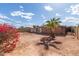 Large backyard with potential for landscaping, adorned with a palm tree and lush red bougainvillea at 8033 N 56Th Ave, Glendale, AZ 85302