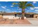 Charming single-story home featuring desert landscaping and a mature palm tree enhancing curb appeal at 8033 N 56Th Ave, Glendale, AZ 85302