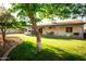 Mature shade tree accents the green grass and backyard patio area at 919 W Lodge Dr, Tempe, AZ 85283