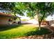 Grassy backyard features a patio, garden area, and mature shade tree at 919 W Lodge Dr, Tempe, AZ 85283