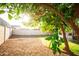 The grassy backyard area is shaded by a lemon tree at 919 W Lodge Dr, Tempe, AZ 85283