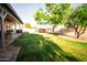 Expansive backyard features a large grass area and covered patio at 919 W Lodge Dr, Tempe, AZ 85283