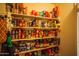 Walk-in pantry features shelving for food and storage at 919 W Lodge Dr, Tempe, AZ 85283