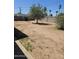 A large backyard featuring a tree and block wall at 1630 E Catalina Dr, Phoenix, AZ 85016