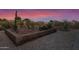 An elevated garden in backyard is illuminated against a colorful sunset sky at 18161 N 63Rd Ln, Glendale, AZ 85308