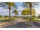 Community walking path lined with palm trees and lush greenery at 22858 E Silver Creek Ln, Queen Creek, AZ 85142