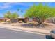 Charming single-story brick home with desert landscaping and mature trees at 2524 E Elmwood St, Mesa, AZ 85213
