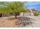 View of a single-story home with a well-maintained yard and desert landscaping at 2745 W Sunshine Butte Dr, San Tan Valley, AZ 85144