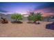 Desert landscaped backyard with gravel, bordered by a block wall, featuring a few trees and plants at 29870 W Weldon Ave, Buckeye, AZ 85396