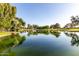 Picturesque pond view with lush greenery, mature trees, and clear blue skies, perfect for relaxing at 3002 S Marigold Pl, Chandler, AZ 85248